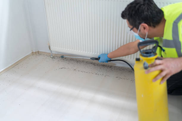 Best Best Pest Control Companies  in Winnetka, IL