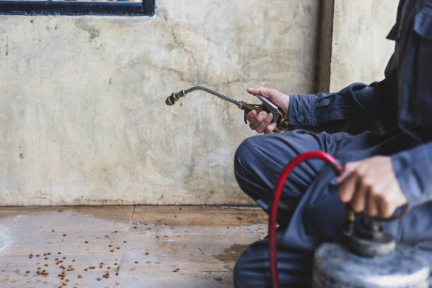 Best Residential Pest Control  in Winnetka, IL