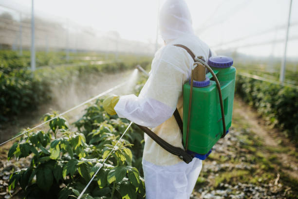 Best Ant Control Services  in Winnetka, IL